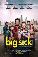 Watch The Big Sick Primewire