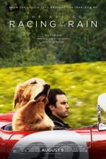 Watch The Art of Racing in the Rain Primewire