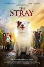 Watch The Stray Primewire