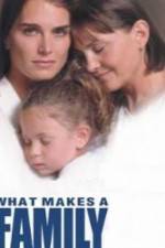 Watch What Makes a Family Primewire
