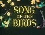 Watch Song of the Birds (Short 1949) Primewire