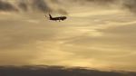 Watch The Man Who Fell from the Sky Primewire
