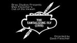 Watch The Tantalizing Fly (Short 1919) Primewire