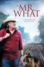 Watch Mr What Primewire