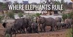 Watch Where Elephants Rule Primewire