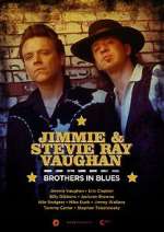 Watch Jimmie and Stevie Ray Vaughan: Brothers in Blues Primewire