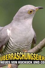 Watch berraschungseier: Neues von Kuckuck und Co. Primewire