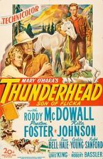 Watch Thunderhead: Son of Flicka Primewire