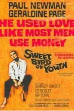 Watch Sweet Bird of Youth Primewire
