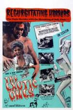 Watch The Exotic Ones Primewire