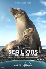 Watch Sea Lions of the Galapagos (TV Special 2025) Primewire