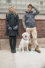 Watch Who Gets the Dog? Primewire