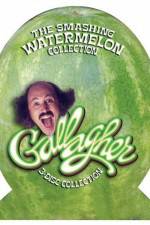 Watch Gallagher Overboard Primewire