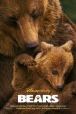 Watch Bears Primewire
