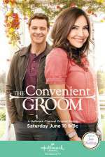 Watch The Convenient Groom Primewire