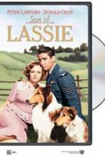 Watch Son of Lassie Primewire