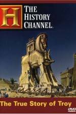 Watch The True Story of Troy Primewire