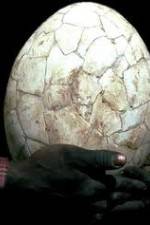 Watch Attenborough And The Giant Egg Primewire