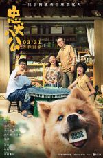 Watch Hachiko Primewire