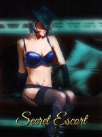 Watch Secret Escort Primewire