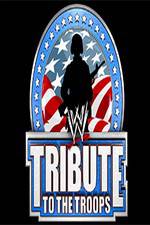 Watch WWE Tribute to the Troops Primewire
