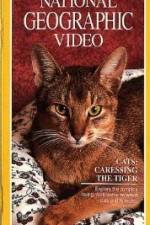 Watch Cats Caressing the Tiger Primewire