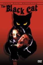 Watch Black Cat Primewire