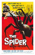Watch The Spider Primewire