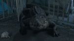 Watch Croc! Primewire