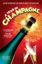 Watch A Year in Champagne Primewire