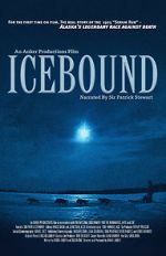 Watch Icebound Primewire