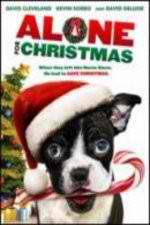 Watch Alone For Christmas Primewire