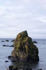 Watch Mad Little Island Primewire