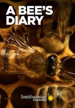 Watch A Bee\'s Diary (TV Special 2022) Primewire