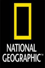 Watch National Geographic Sharks in The City Primewire
