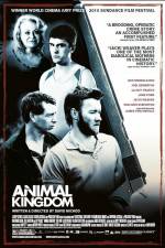 Watch Animal Kingdom Primewire