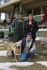 Watch Hallmark Hall of Fame A Dog Named Christmas Primewire