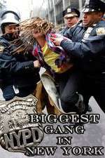 Watch NYPD: Biggest Gang in New York? Primewire