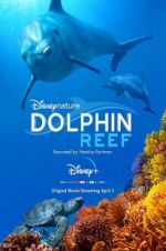 Watch Dolphin Reef Primewire
