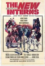 Watch The New Interns Primewire