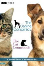 Watch The Cat Connection Primewire