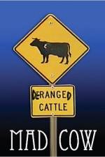 Watch Mad Cow Primewire
