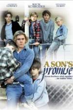 Watch A Son's Promise Primewire
