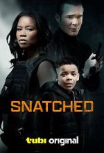 Watch Snatched Primewire