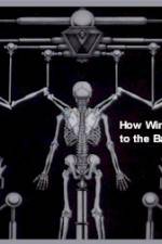 Watch How Wings Are Attached to the Backs of Angels Primewire