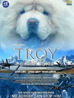 Watch Troy the Bharat Putra Primewire