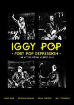 Watch Iggy Pop: Post Pop Depression Primewire