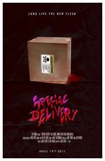 Watch Special Delivery Primewire