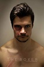 Watch The Boxer Primewire