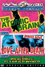 Watch Love After Death Primewire